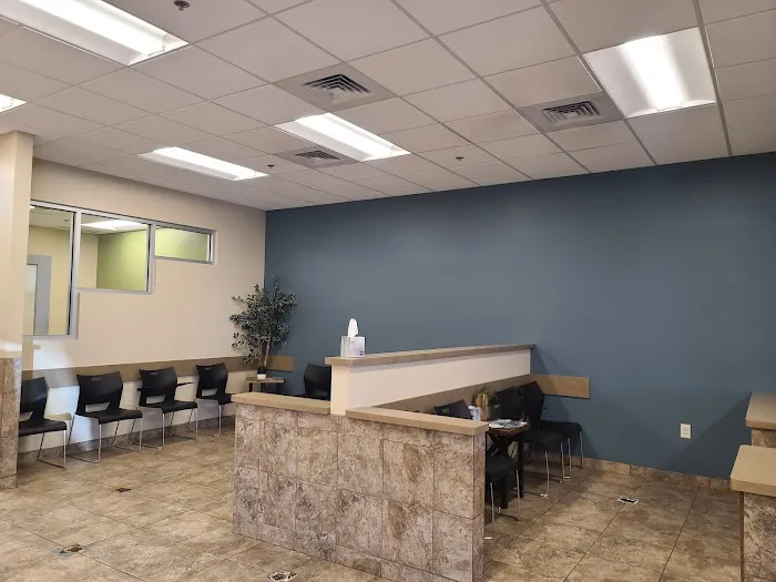Lovet Pet Health Care - North Buckeye Picture 7