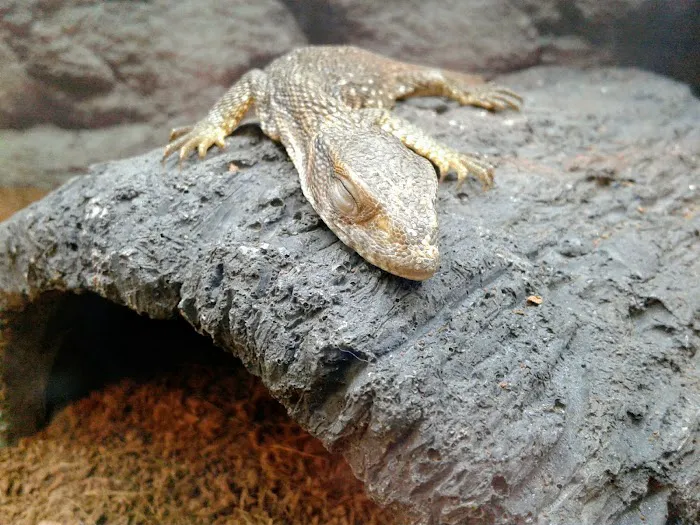 Petco Picture 9