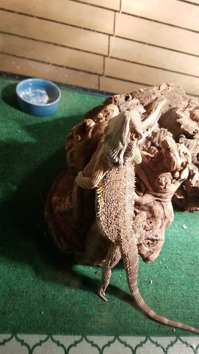 Petco Picture 4