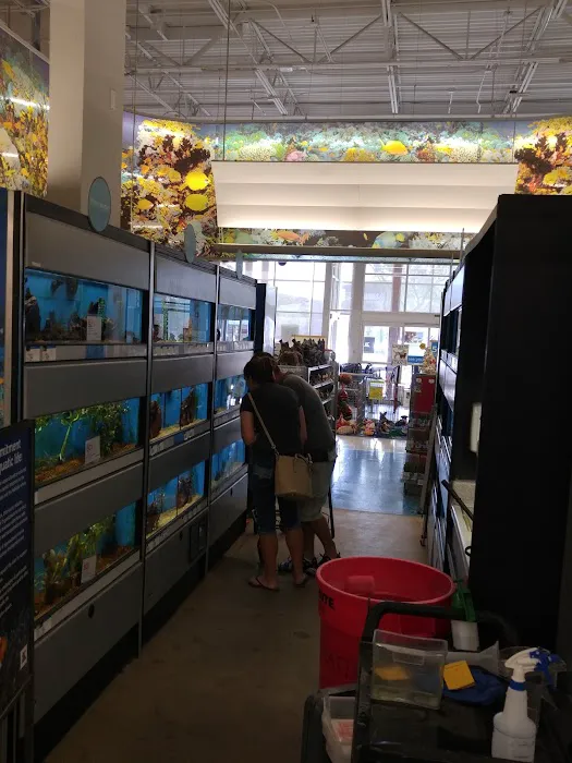 Petco Picture 1