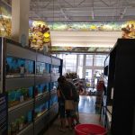 Petco