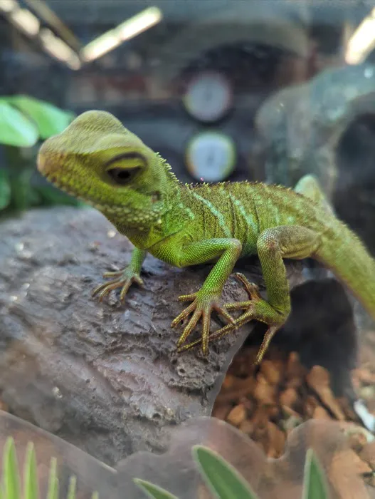 Petco Picture 5