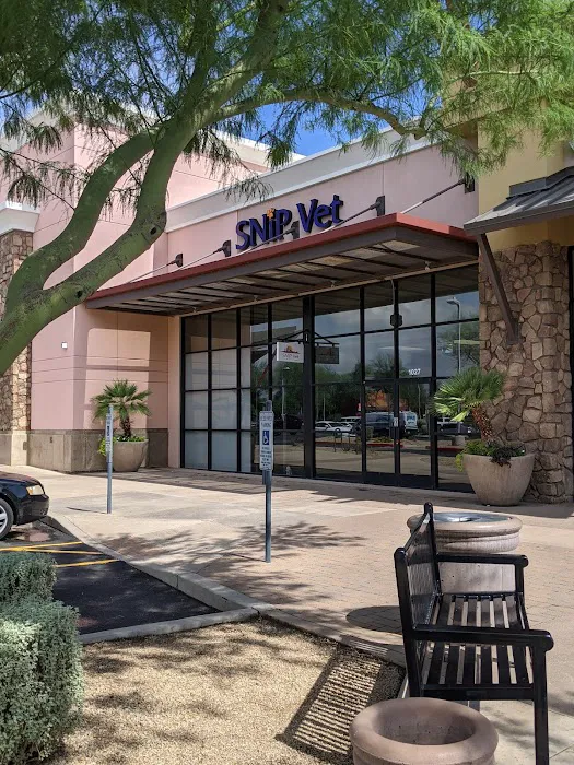 SNiP Vet - Spay Neuter in Phoenix Picture 4