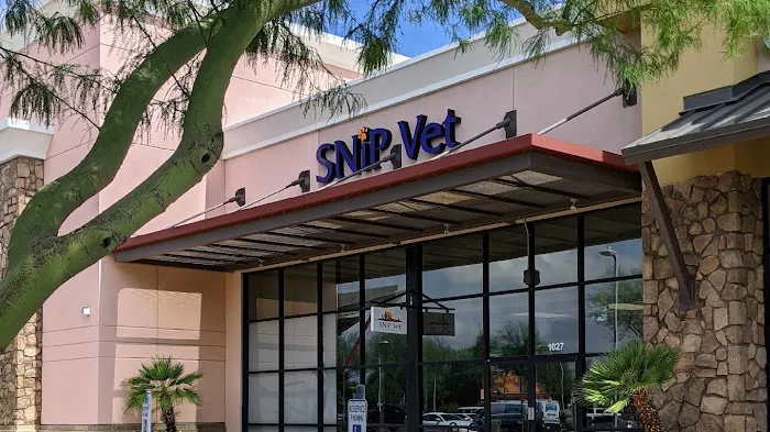 SNiP Vet - Spay Neuter in Phoenix Picture 5