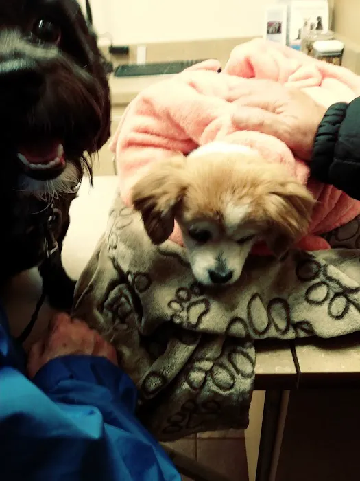 Lovet Pet Health Care - Norterra Picture 7