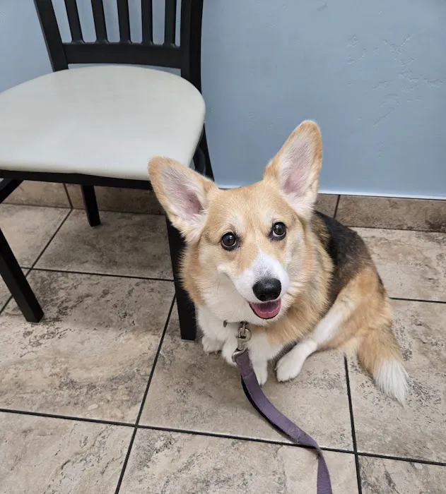 Lovet Pet Health Care - Norterra Picture 10