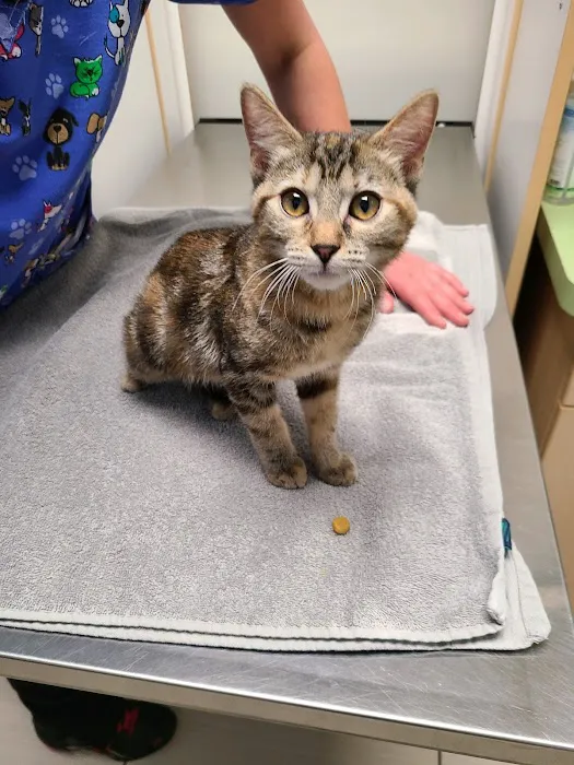 Stetson Hills Animal Hospital Picture 2