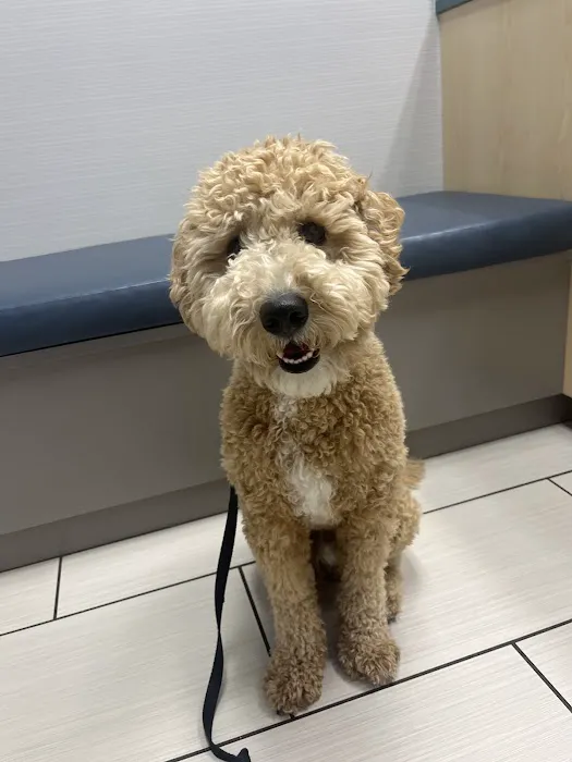 Stetson Hills Animal Hospital Picture 1