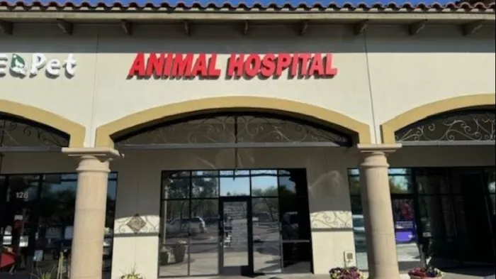 Stetson Hills Animal Hospital Picture 4