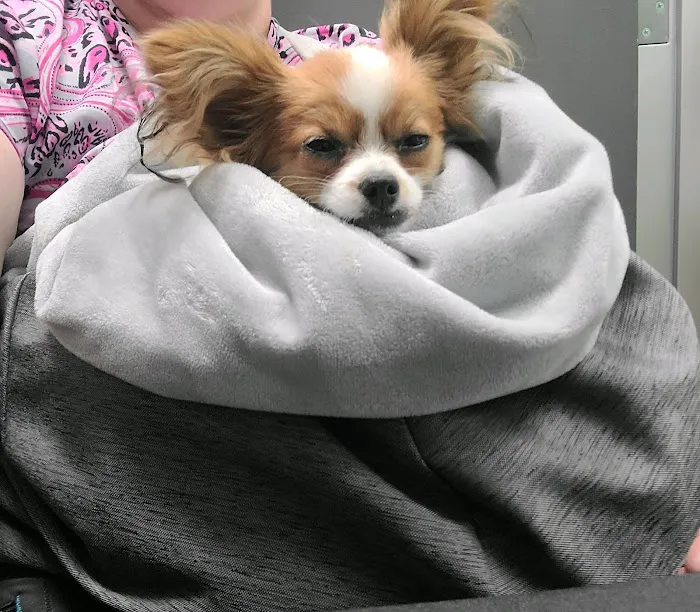 Stetson Hills Animal Hospital Picture 7