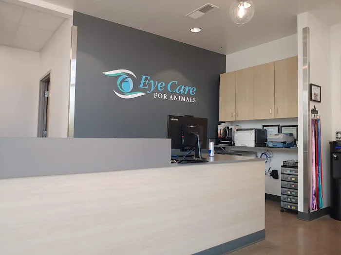 Eye Care for Animals - Phoenix Picture 4