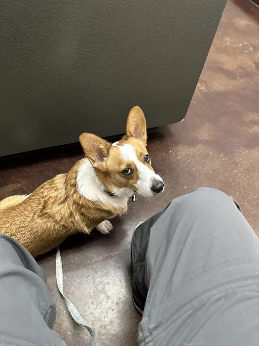 Oasis Animal Hospital Picture 9