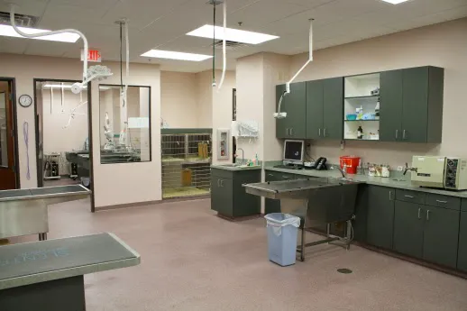 Oasis Animal Hospital Picture 7