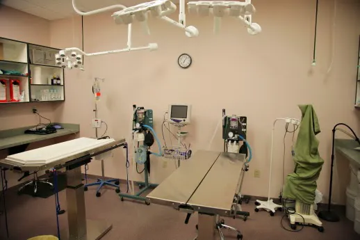 Oasis Animal Hospital Picture 8