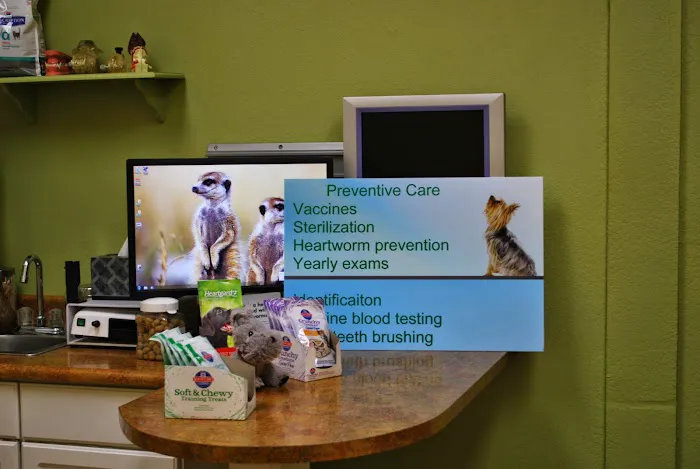 Anasazi Animal Clinic Picture 5