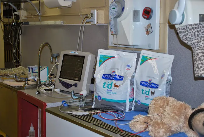 Anasazi Animal Clinic Picture 3