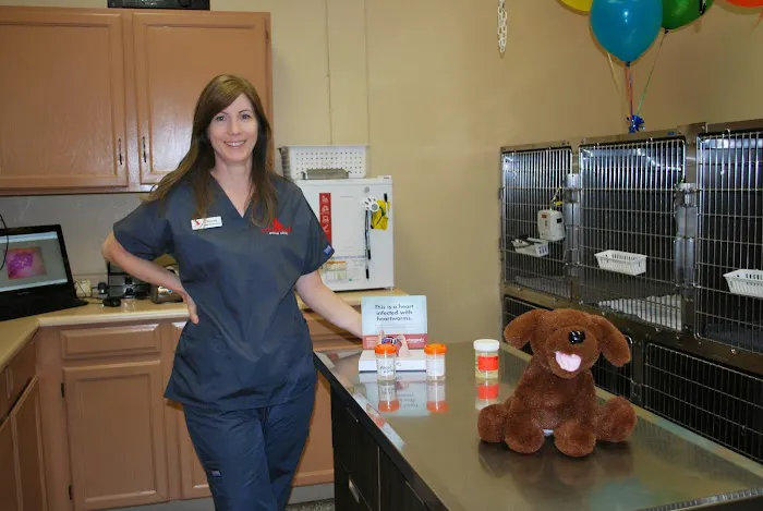 Anasazi Animal Clinic Picture 4
