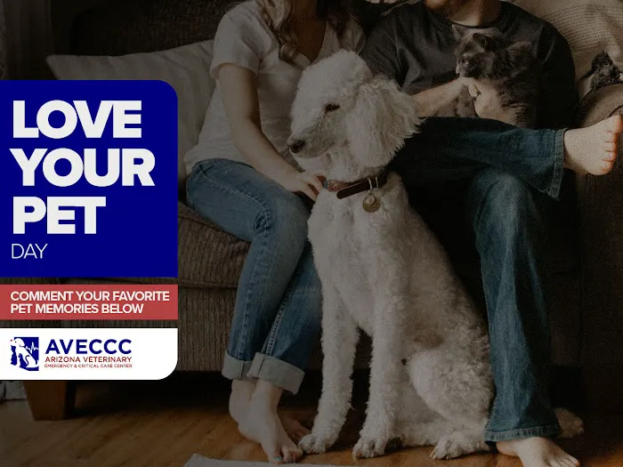 Arizona Veterinary Emergency & Critical Care Center (AVECCC) Picture 1