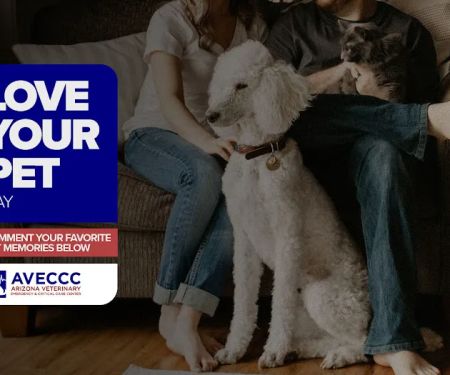 Arizona Veterinary Emergency & Critical Care Center (AVECCC)