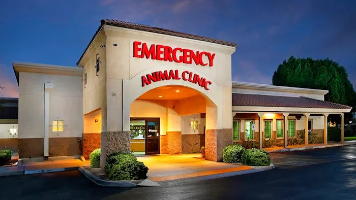 Arizona Veterinary Emergency & Critical Care Center (AVECCC) Picture 2