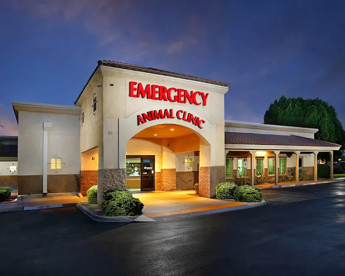 Arizona Veterinary Emergency & Critical Care Center (AVECCC) Picture 9