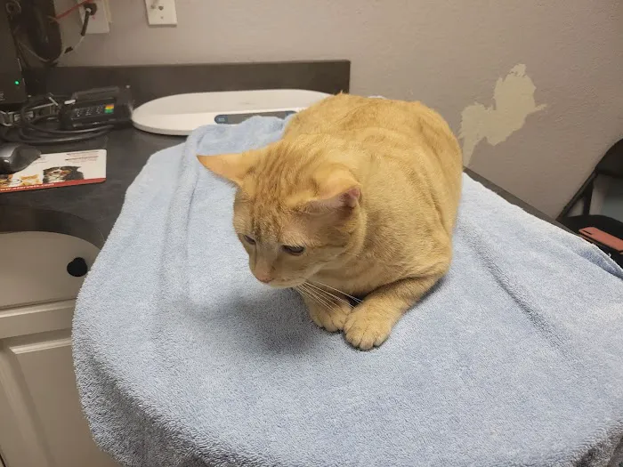Prestige Animal Clinic Picture 6