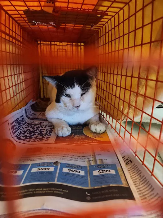 Brookview Animal Wellness Veterinary Hospital & Spay/Neuter Clinic Picture 6