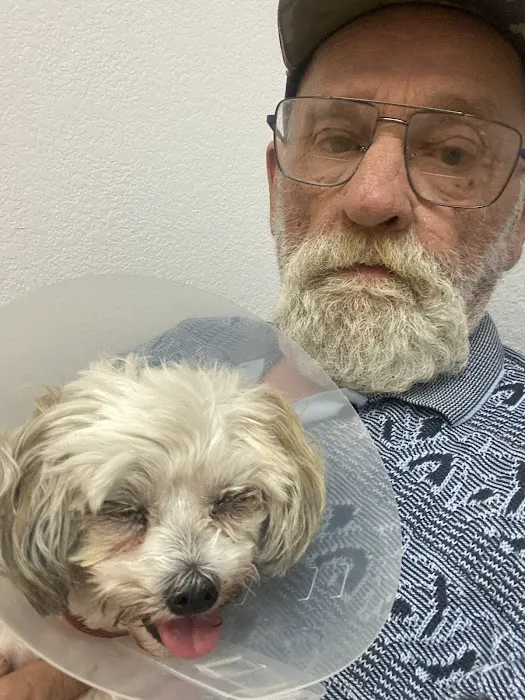 Eye Care for Animals - Gilbert Picture 1
