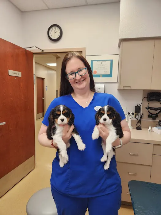 Eye Care for Animals - Gilbert Picture 8
