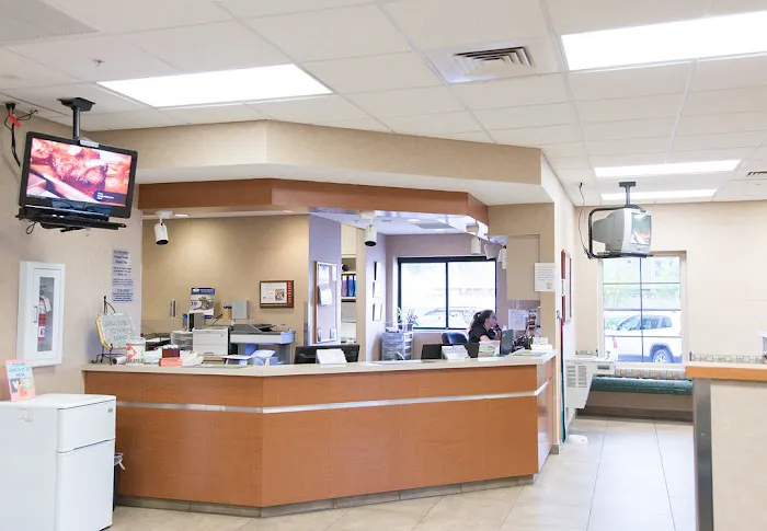 Arizona Veterinary Dental Specialists - Gilbert Picture 3