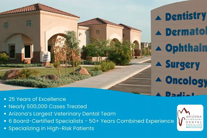 Arizona Veterinary Dental Specialists - Gilbert Picture 2