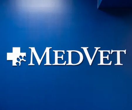 MedVet Phoenix