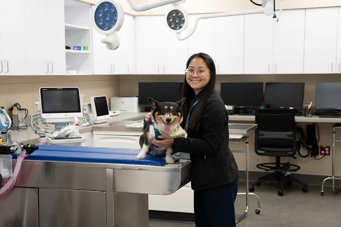 MedVet Phoenix Picture 6
