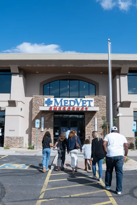 MedVet Phoenix Picture 4