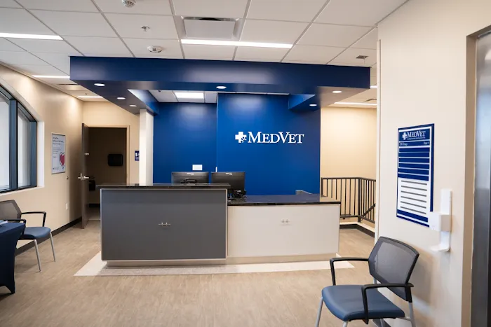 MedVet Phoenix Picture 5