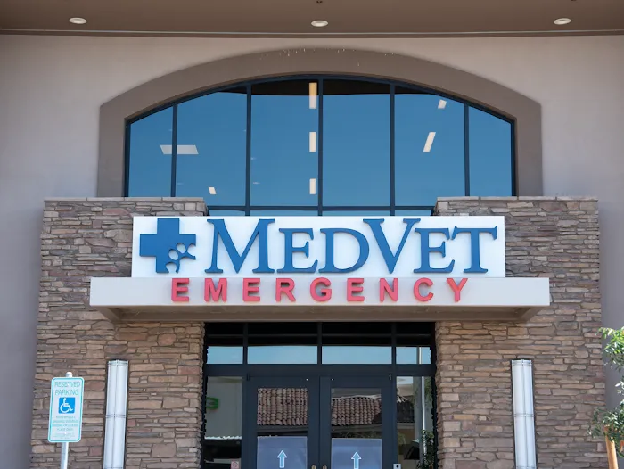 MedVet Phoenix Picture 2