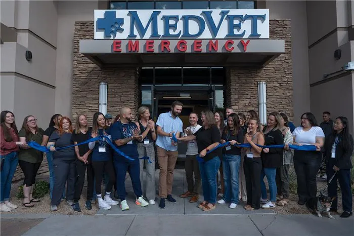 MedVet Phoenix Picture 7