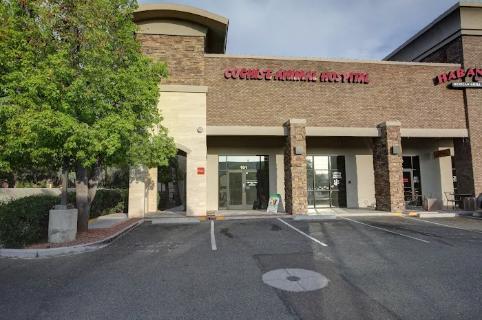 Cochise Animal Hospital Picture 5