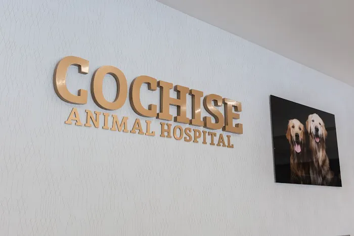 Cochise Animal Hospital Picture 8