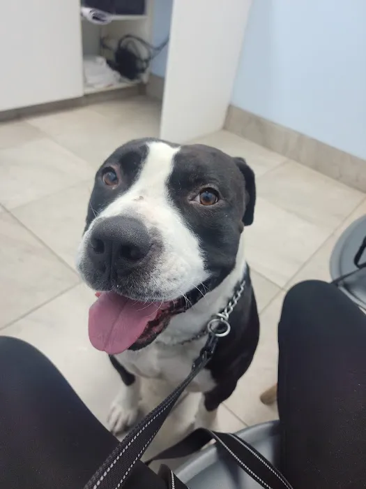 Noe's Ark Animal Hospital Picture 5
