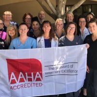 Bark Avenue Animal Hospital ico