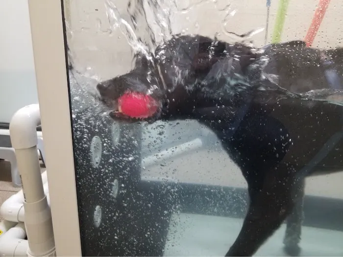 Bark Avenue Animal Hospital Picture 10
