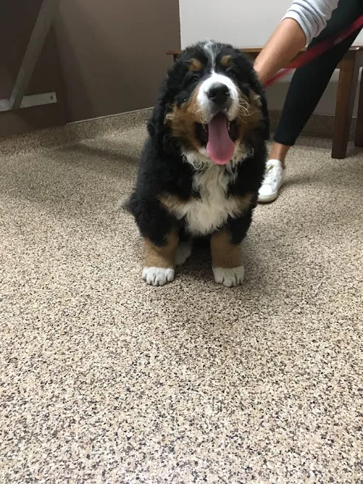 Bark Avenue Animal Hospital Picture 4