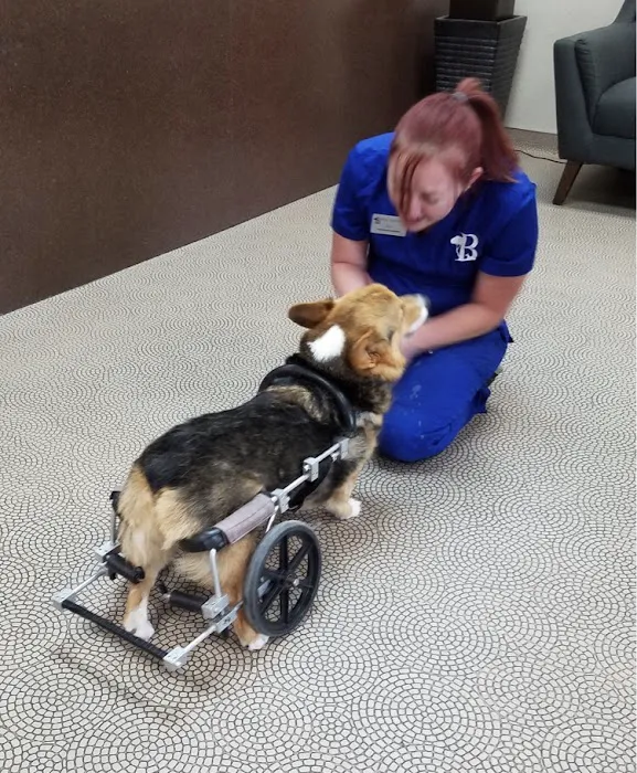Bark Avenue Animal Hospital Picture 5