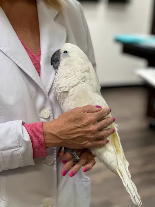 Little Critters Veterinary Hospital Picture 1