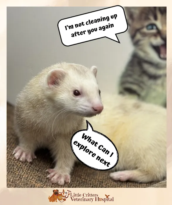 Little Critters Veterinary Hospital Picture 7