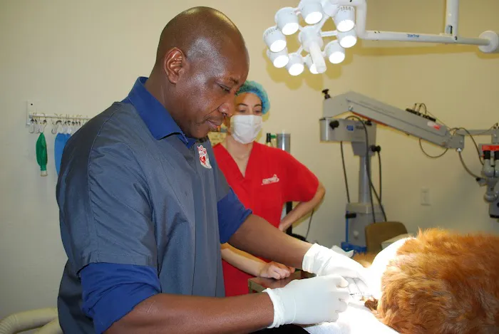 East Valley Animal Hospital Picture 8