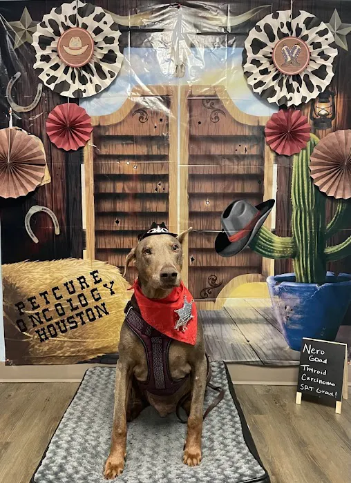 PetCure Oncology at Arizona Veterinary Oncology Picture 7