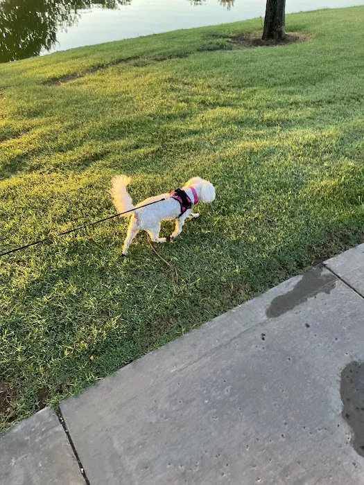Arizona Veterinary Oncology Picture 8