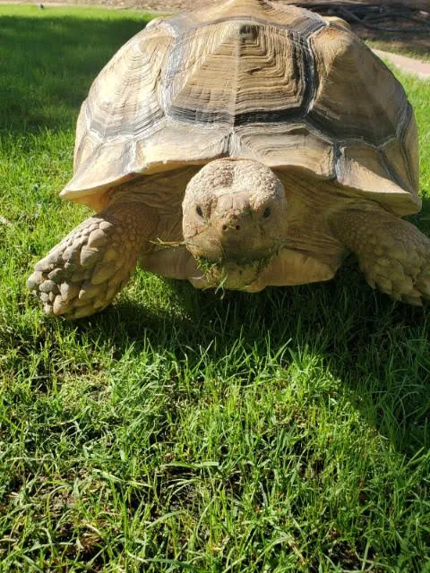 Avian & Exotic Animal Clinic Picture 6